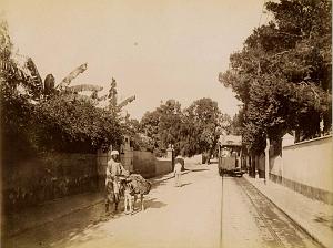 Oran 036